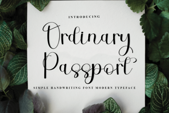 Ordinary Passport: A Font That Makes Your Brand Feel More Real